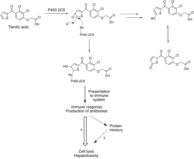 Fig. 10