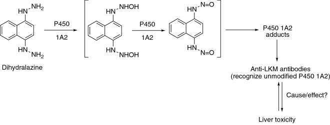 Fig. 11