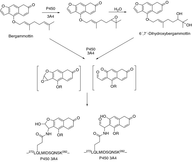 Fig. 13