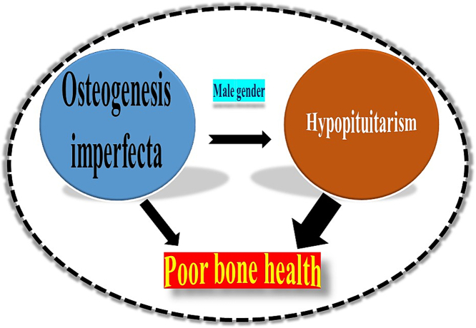 Unlabelled Image