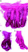 Figure 8