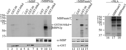 FIG. 7.