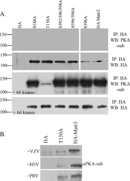 FIG. 5.