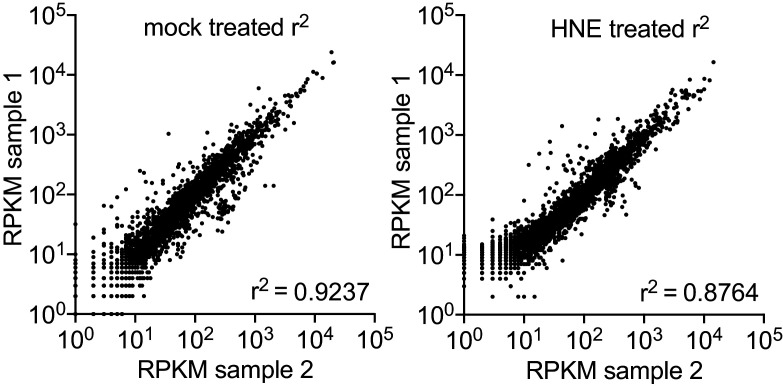 Figure 3—figure supplement 1.