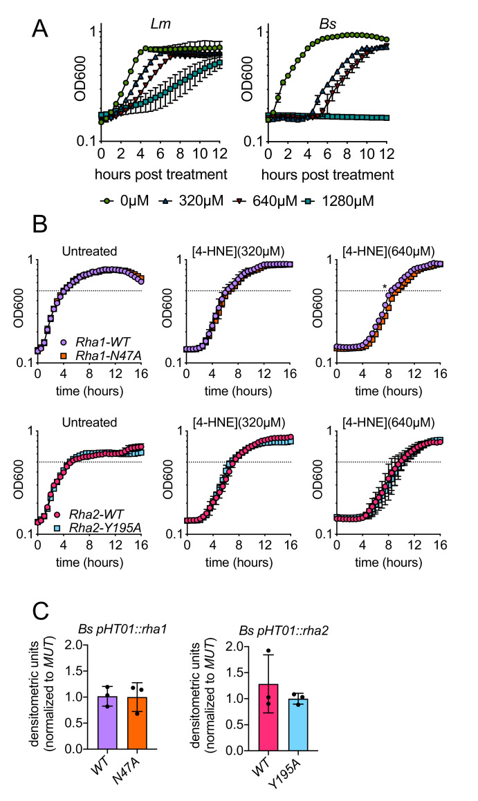 Figure 6—figure supplement 1.