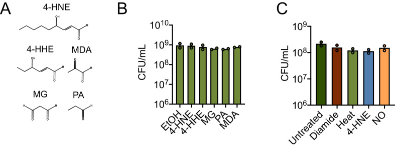 Figure 3—figure supplement 2.