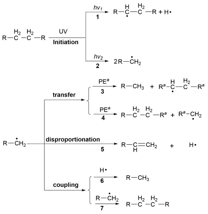 Scheme 5