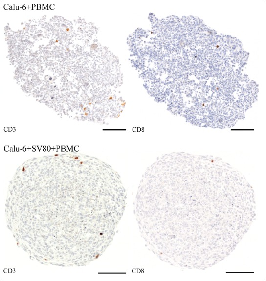 Figure 12.