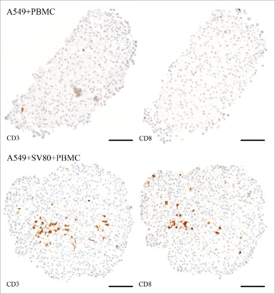 Figure 11.