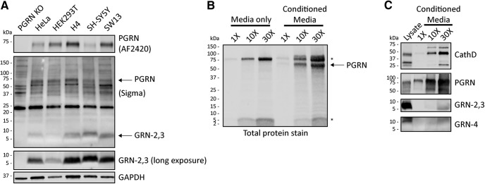 Figure 3.