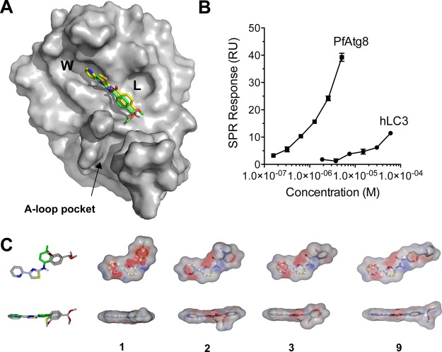 Figure 7