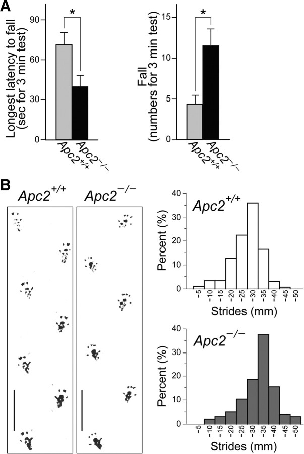 Figure 11.