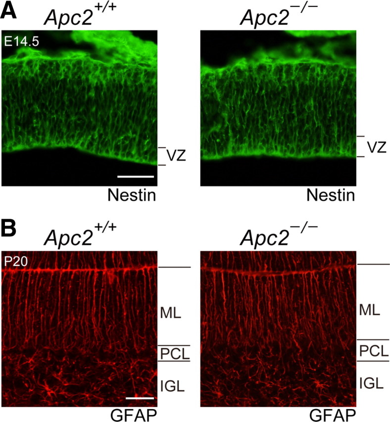 Figure 10.