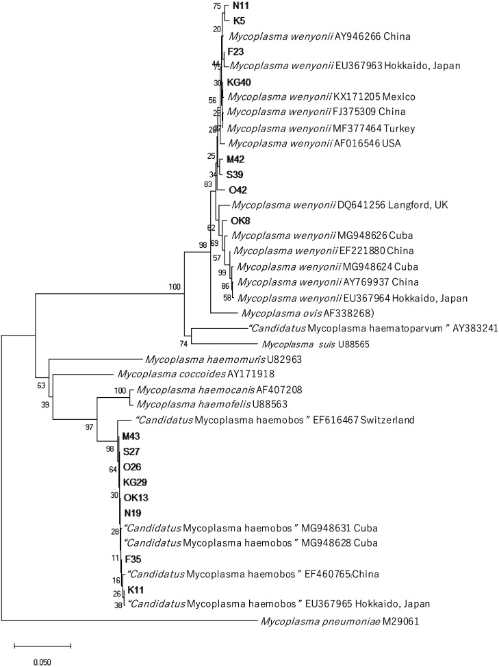 Fig. 2.