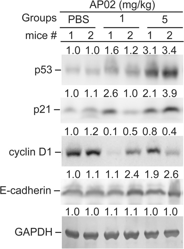 Fig. 7