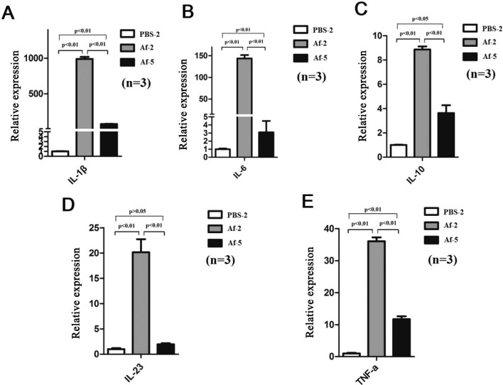 Figure 5.