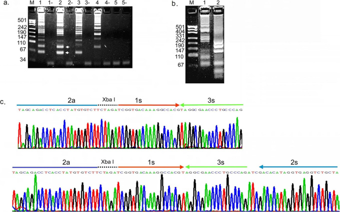 Figure 2