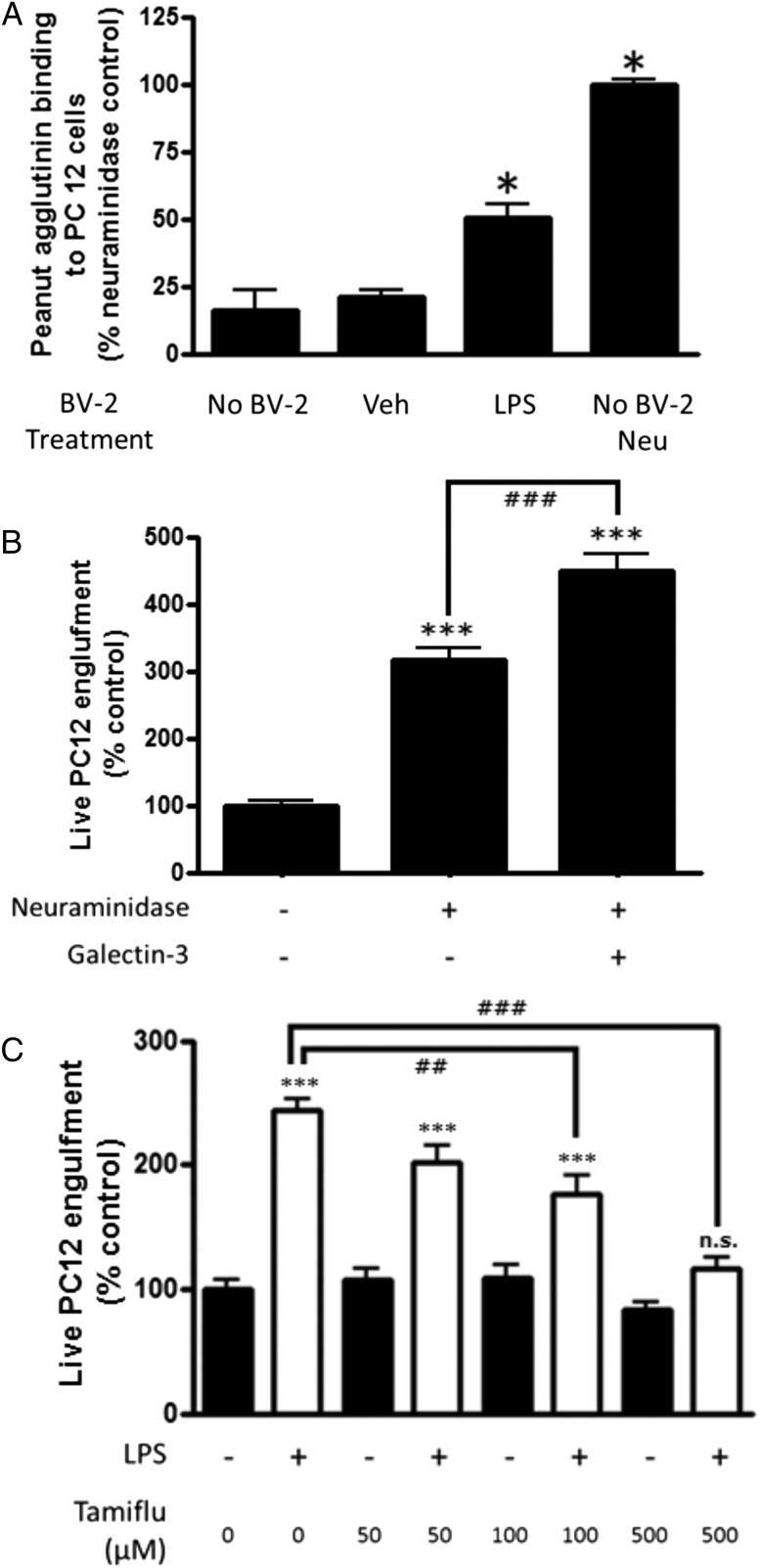 FIGURE 7.