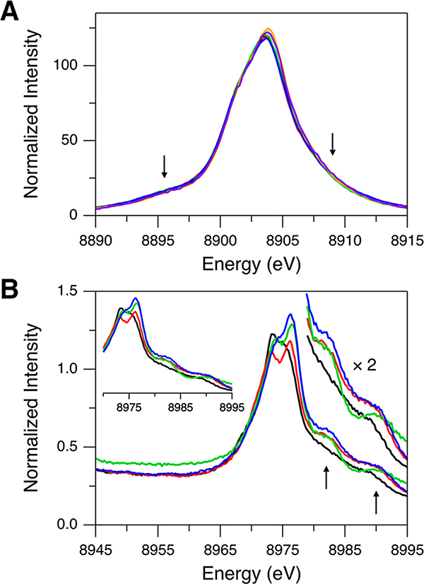 Figure 5.