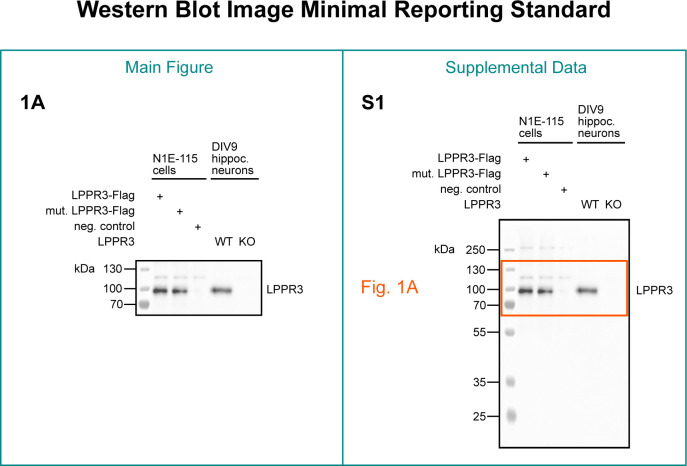 Fig 5