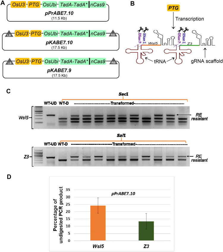 Fig. 1