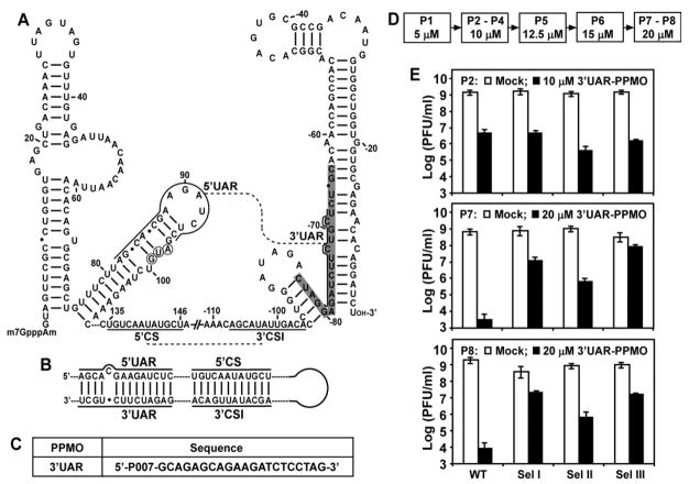 FIG. 1