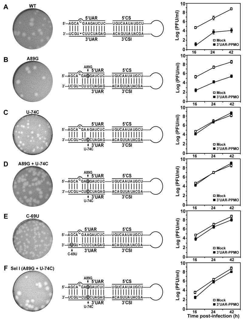 FIG. 4