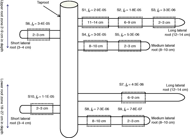 Fig. 1.