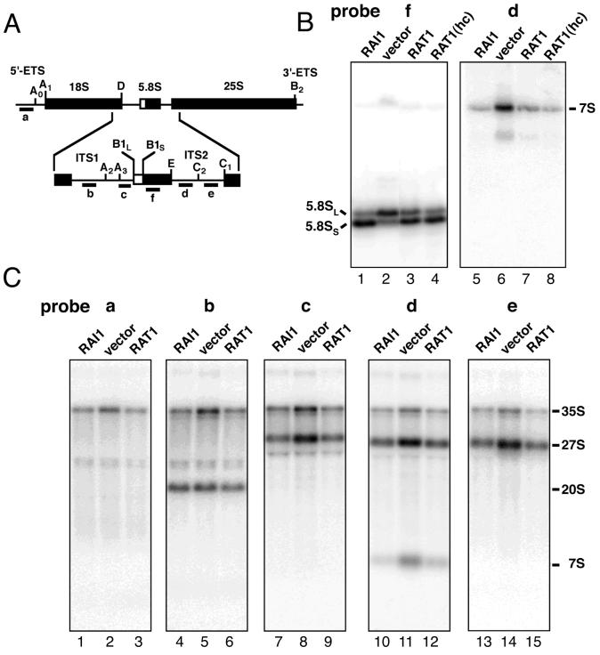 FIG. 5