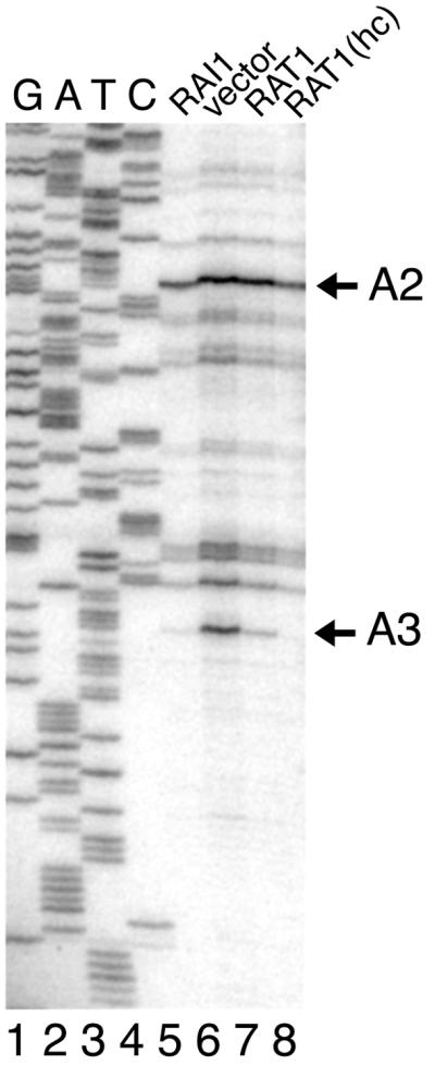 FIG. 6