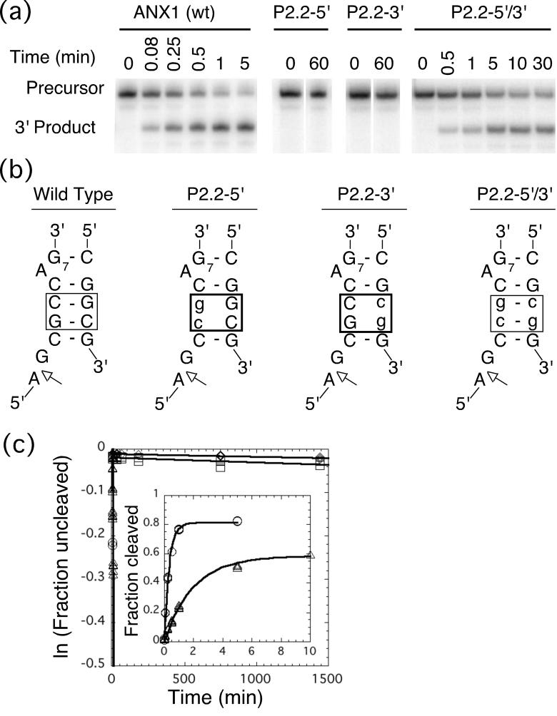 FIGURE 4