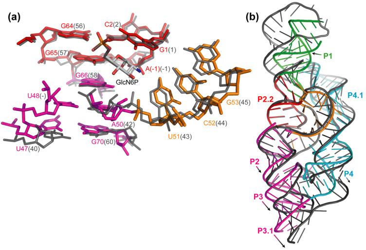 FIGURE 3