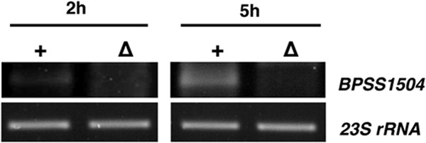 FIG 2