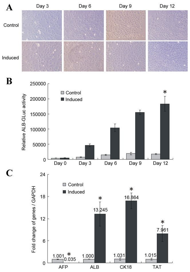 Figure 1.