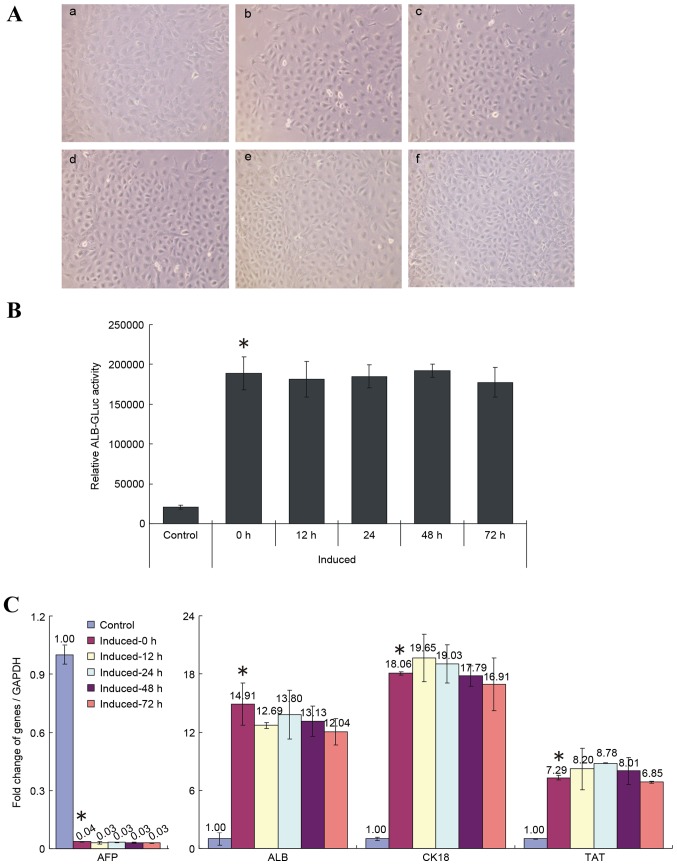 Figure 4.