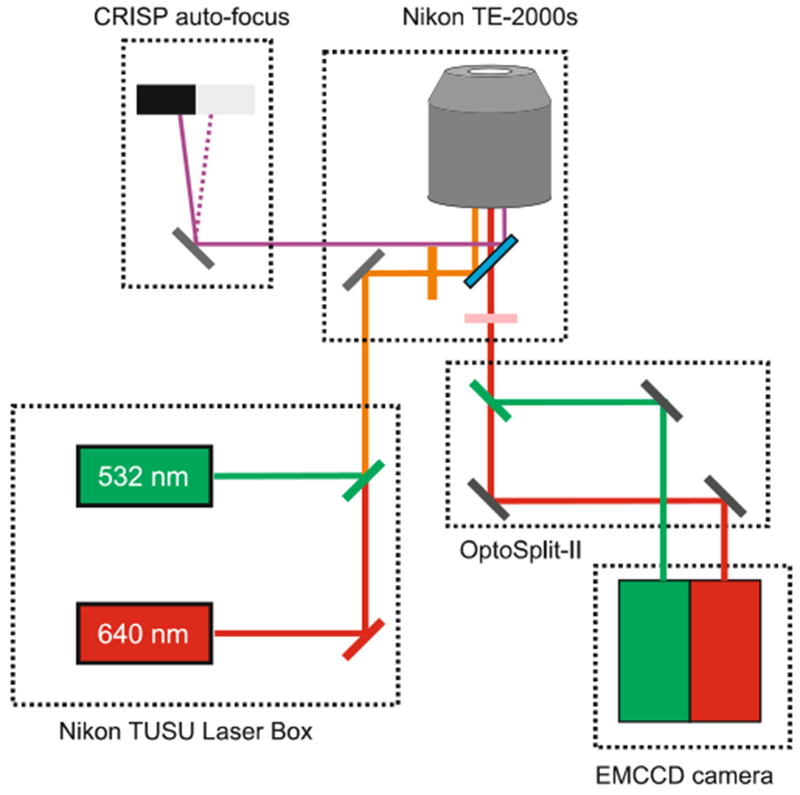 Fig. 2