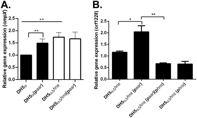 FIG 6