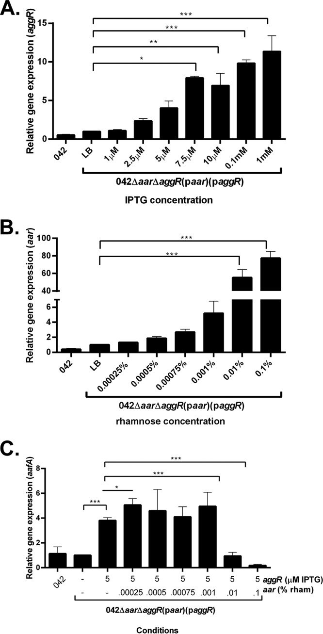 FIG 2