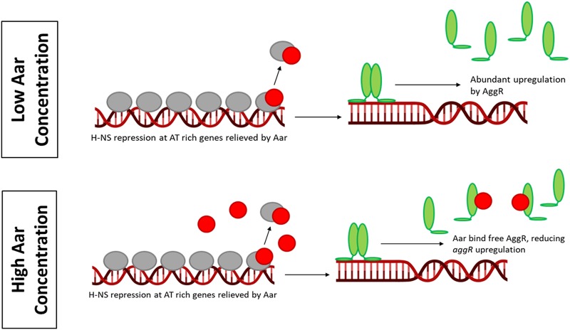 FIG 7