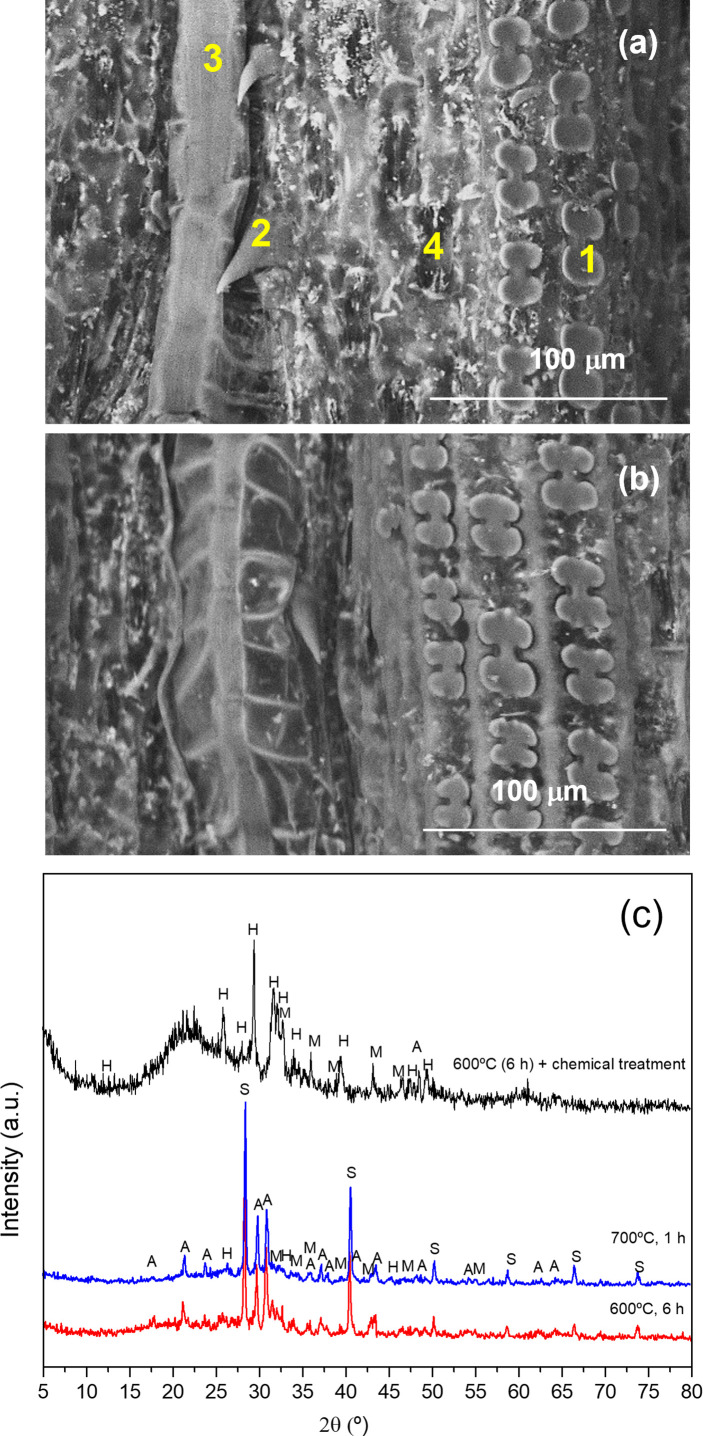 Figure 6