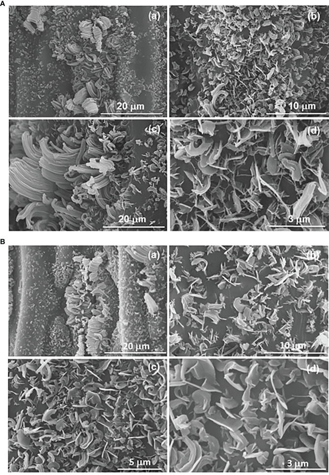 Figure 5