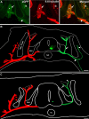 Figure 8.