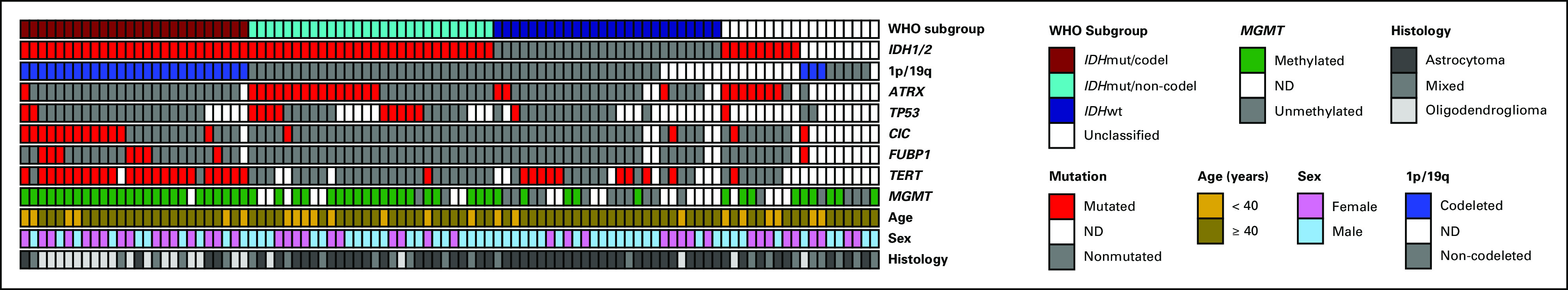 FIG 2.