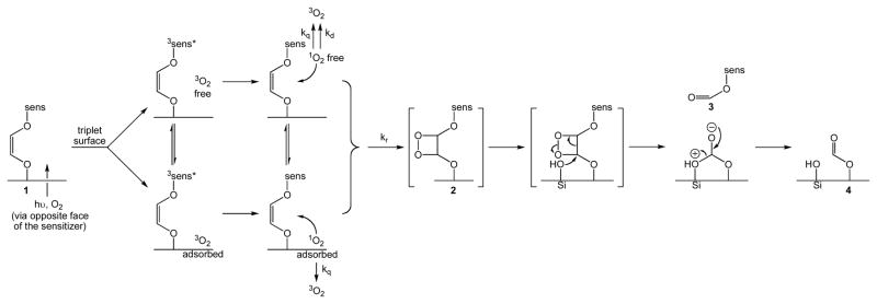 Scheme 4