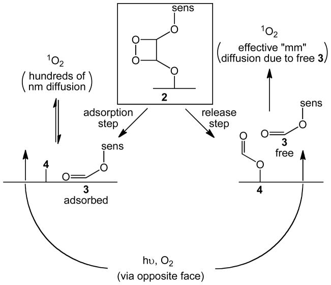 Scheme 5