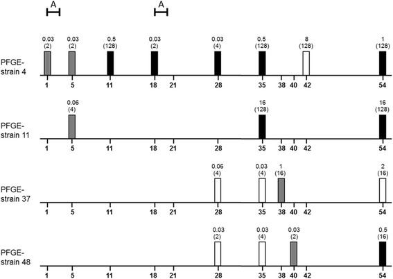 Fig. 3