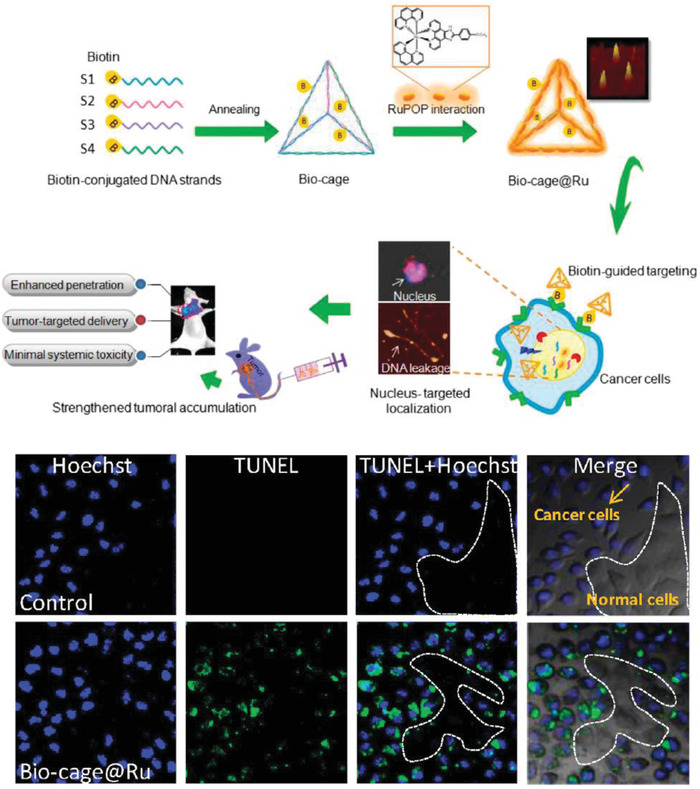 Figure 20