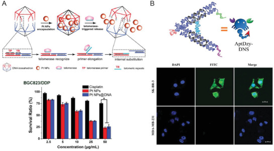 Figure 24