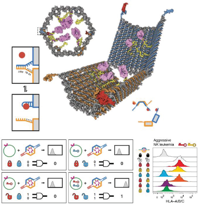 Figure 22