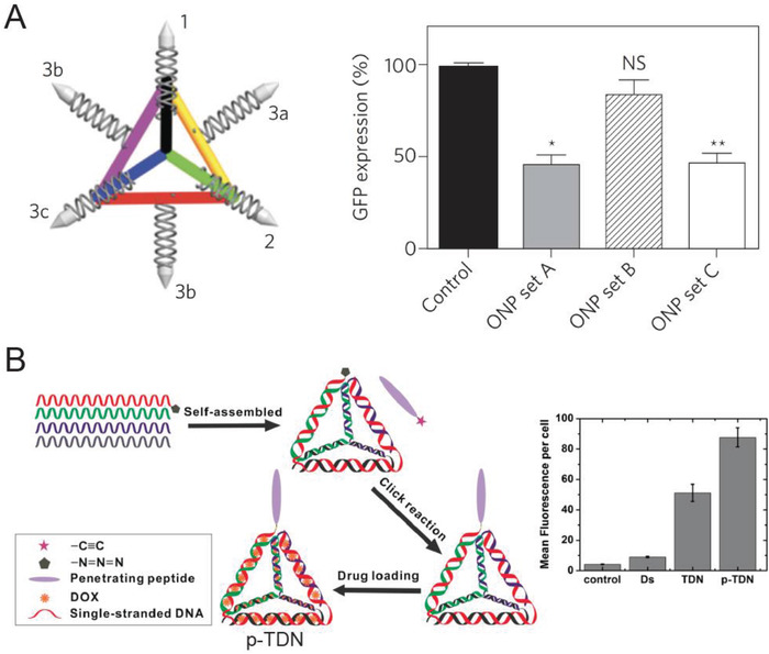 Figure 19